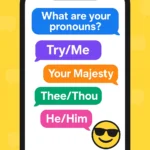 funny responses to what are your pronouns