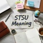 STSU Meaning